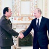 بوتين يدعم ترشح السيسي للرئاسة