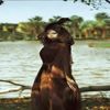 بالفيديو.. منى زكي تكشف عن كواليس أحدث جلسة تصوير بالفيديو.. منى زكي تكشف عن كواليس أحدث جلسة تصوير