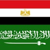لجنة لمراجعة العقود التى وقعتها مصر مع المستثمرين السعوديين لجنة لمراجعة العقود التى وقعتها مصر مع المستثمرين السعوديين
