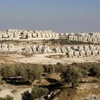 العرب يدينون في الأمم المتحدة مواصلة الاستيطان الإسرائيلي