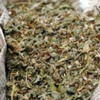 القبض على مسجل خطر بحوزته 6 كيلو بانجو فى سمنود