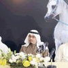 اليوم انطلاق مهرجان «الجواد العربي» اليوم انطلاق مهرجان «الجواد العربي»