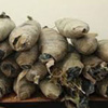 حبس تاجرى بانجو 4 أيام بالمطرية