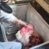 ضبط مخزن مواد غذائية غير مرخص في أبوقرقاص بالمنيا
