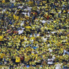 فيما تأكدت مشاركة « ياكونان» .. واللاعبون يتوعّدون بالتأهل الآسيوي الاتحاد يخسر جماهيره أمام العين غداً .. والإدارة تعزل اللاعبين وتحفزهم مادياً فيما تأكدت مشاركة « ياكونان» .. واللاعبون يتوعّدون بالتأهل الآسيوي الاتحاد يخسر جماهيره أمام العين غداً .. والإدارة تعزل اللاعبين وتحفزهم مادياً