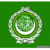 الجامعة العربية دعت المجتمع الدولي الى الزام اسرائيل وقف جرائمها بحق الفلسطينيين الجامعة العربية دعت المجتمع الدولي الى الزام اسرائيل وقف جرائمها بحق الفلسطينيين