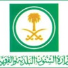 الشؤون البلدية :ملتزمون بتسليم الصكوك للممنوحين الشؤون البلدية :ملتزمون بتسليم الصكوك للممنوحين