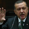 أردوغان: الطائرة السورية كانت تنقل أسلحة روسية لدمشق