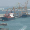 أصحاب الورش بسفاجا يدخلون في اعتصام للمطالب بتخصيص أراضى أصحاب الورش بسفاجا يدخلون في اعتصام للمطالب بتخصيص أراضى