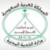 وفد تجاري مصري يزور المملكة