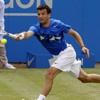 تنس - ATP روتردام - ديميتروف يتخطى بغداديس ويعبر لنصف النهائي تنس - ATP روتردام - ديميتروف يتخطى بغداديس ويعبر لنصف النهائي