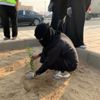 أمانة جدة والبيئة يطلقون حملة لنجعلها خضراء