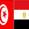 مباحثات مصرية تونسية لتفعيل الاتفاقيات الثنائية لوزراء الخارجية