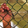 "عوفر" تصدر أحكاما بحق 7 اسرى "عوفر" تصدر أحكاما بحق 7 اسرى