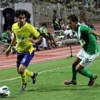 أخبار النصر الثلاثاء 25 ديسمبر 2012