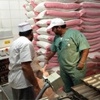 أمانة الرياض تغلق 147 مخبزاً ومعمل حلويات