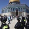 عشرات المستوطنين يقتحمون المسجد الأقصى بحراسة الاحتلال الإسرائيلي عشرات المستوطنين يقتحمون المسجد الأقصى بحراسة الاحتلال الإسرائيلي