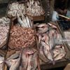 تراجع البلطي والبوري 3 جنيهات.. أسعار السمك بسوق العبور اليوم تراجع البلطي والبوري 3 جنيهات.. أسعار السمك بسوق العبور اليوم