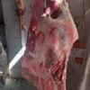 ضبط 30 كيلو لحوم مذبوحة خارج المجزر في أسوان ضبط 30 كيلو لحوم مذبوحة خارج المجزر في أسوان