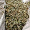 ضبط 2طن بانجو داخل سيارة بشرق بورسعيد