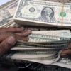 «المركزي» يطرح عطاء استثنائيًا بقيمة 600 مليون دولار