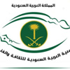فنون الطائف: 4 جوائز في الدمام و3 في فاس