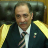 المجلس الأعلى للطرق الصوفية يدين إساءة نائب هولندى للإسلام