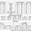 الطقس المتوقع خلال الیومین القادمین
