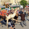 براءة سرور والشريف من اتهامات "موقعة الجمل"