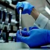 الفيروس التاجي لن يسبب على الأرجح وباء مثل سارز
