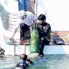التقاط طن نفايات من قاع البحر في أبوظبي