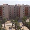 «المركزي للتعمير»: «تنمية سيناء» تستحوذ على 25% من محفظة مشروعاتنا «المركزي للتعمير»: «تنمية سيناء» تستحوذ على 25% من محفظة مشروعاتنا