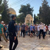 230 مستوطنا يقتحمون المسجد الأقصى واعتقال 16 فلسطينيا من الضفة 230 مستوطنا يقتحمون المسجد الأقصى واعتقال 16 فلسطينيا من الضفة