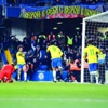 فريد يسحب البرازيل من بين أنياب الدب الروسي