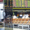 أعلى مستوى للسيولة من 3 سنوات أعلى مستوى للسيولة من 3 سنوات