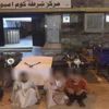 سقوط تشكيل عصابي لسرقة الدراجات البخارية في أسوان سقوط تشكيل عصابي لسرقة الدراجات البخارية في أسوان