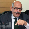 رئيس النمسا يؤكد للبرادعي دعم بلاده للعملية الديمقراطية بمصر