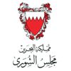 "الشورى البحريني" : نقف مع المملكة ضد الارهاب