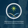 بالفيديو.. العاصفة "باري" تضرب لويزيانا الأمريكية بالفيديو.. العاصفة "باري" تضرب لويزيانا الأمريكية