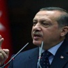 أردوغان يجتمع مع ممثلي المحتجين