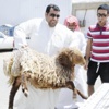 البلدية تحذّر من الذبح خارج المسالخ