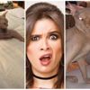 يشبه الكلاب وعلى اسم فيلم شهير.. ما لا تعرفه عن قط ياسمين عبد العزيز يشبه الكلاب وعلى اسم فيلم شهير.. ما لا تعرفه عن قط ياسمين عبد العزيز
