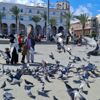 «ميليشيات طرابلس» تنقلب على المسار السياسي