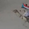اليمن : الحكومة اليمنية تعتذر للجنوبيين والحوثيين عن الحروب التي قادها ضدهم النظام السابق