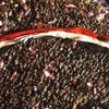 التيار الشعبى :خطاب مرسى ممارسة للإرهاب
