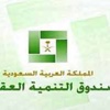 اعتماد 10 آلاف قرض للمواطنين والمواطنات قريبا