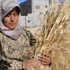 جالود.. قرية فلسطينية ابتلعها الاستيطان