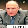 السيسي يطالب المالكي بالعمل على وحدة العراق