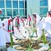 «الهيئة» تغرس «شجرة الاتحاد»