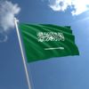 السعودية تدعو لتشكيل لجنة دولية للتحقيق في أحداث غزة